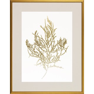 'Gold Foil Algae' Framed Art Print