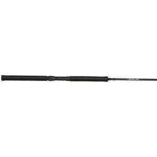 BnM Bucks Best Ultralite Black Graphite 2-piece Fishing Pole