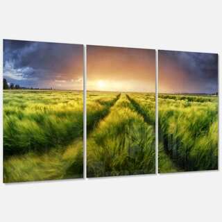 Storm and Light on Meadow - Landscape Glossy Metal Wall Art - 36Wx28H