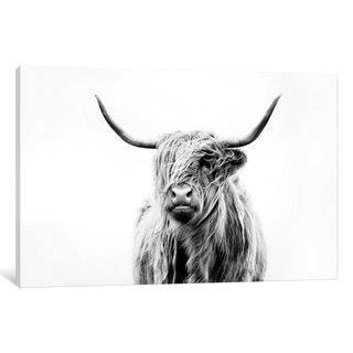iCanvas Portrait Of A Highland Cow Canvas Print