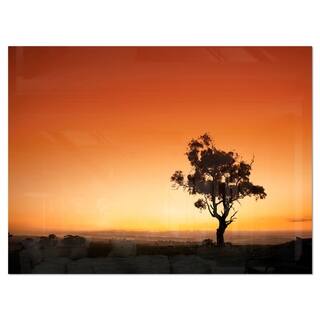 Sunrise with Lonely Tree - Extra Large Glossy Metal Wall Art Landscape