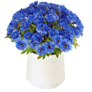 Jane Seymour Bontanicals White Ceramic Cache Pot with 15-inch Tall Blue Cornflowers