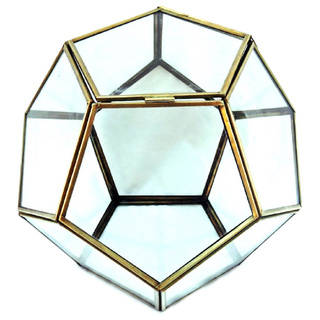 Glass Terrarium/Succulent Box