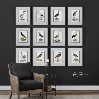 Uttermost Seashore Birds Prints (Set of 12)