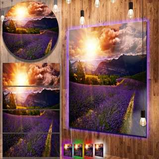 Designart 'Beautiful Sunset over Lavender Field' Large Floral Metal Wall Art
