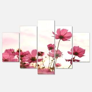 Designart 'Cosmos Flowers Meadow At Sunset' Modern Floral Glossy Metal Wall Art
