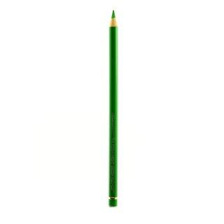 Polychromos Artist Permanent Green Colored Pencils (Pack of 12)
