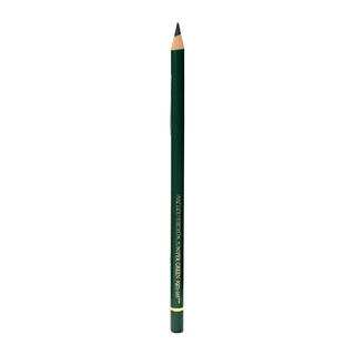 Polychromos Artist Juniper Green Colored Pencils (Pack of 12)