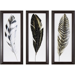 Decor Therapy Framed Watercolor Feathers Wall Art Set (Pack of 3)