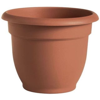 Bloem Ariana 12-inch Planter with Self Watering Grid