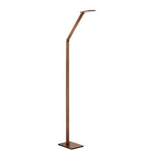 49 in. Russet Bronze LED Floor Lamp