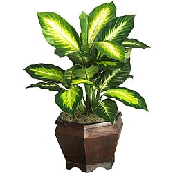 Silk Golden Dieffenbachia Plant with Wood Vase