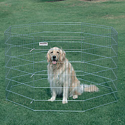 Precision Pet Snap-together 36-inch-tall Exercise Pen