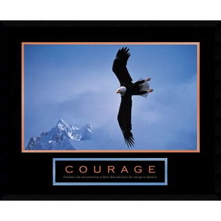 Courage: Bald Eagle' Framed Art Print