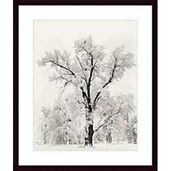Ansel Adams 'Oak Tree' Wood Framed Art Print