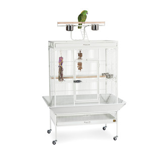 Prevue Pet Products Wrought Iron Select Bird Cage 3154