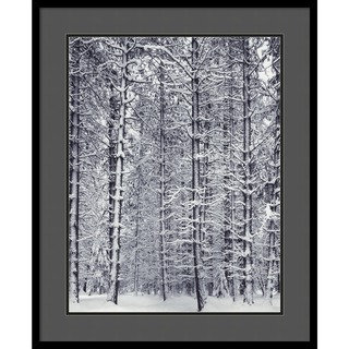 Ansel Adams 'Pine Forest in the Snow, Yosemite National Park' Framed Art Print