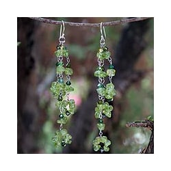 Lime Rain Cascades of Peridot with Dark Green Crystal Beads on 925 Sterling Silver Hooks Womens Long Dangle Earrings (Thailand)