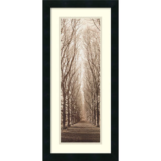 Alan Blaustein 'Poplar Trees' Framed Art Print