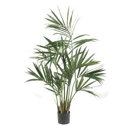 Five-foot Silk Kentia Palm Tree