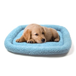 Blue 2000 Sheepskin Machine-washable Bumper Pet Bed (25 inches x 20 inches)