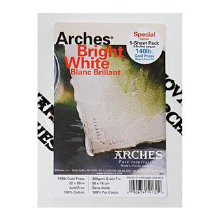 Arches 22-inch x 30-inch Cold Press Watercolor Paper (5 Sheets)