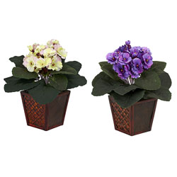 African Violet Silk Plant with Vase (Set of 2)
