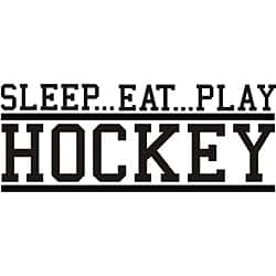 Design on Style 'Sleep Eat Play Hockey' Vinyl Wall Art Quote