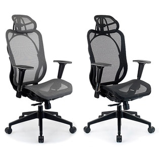 Integrity Seating Ergonomic Mesh High Back Executive Office Chair