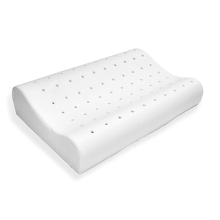 Classic Contour Soft Memory Foam Pillows (Set of 2)