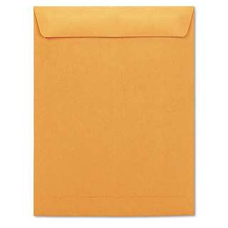 Universal Catalog Envelope Side Seam 10 x 13 Pack of 250