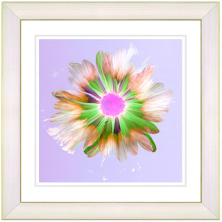 Studio Works Modern 'Snowflake Daisy - Lilac' Framed Print
