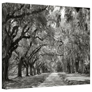 Steve Ainsworth 'Live Oak Avenue' Gallery-Wrapped Canvas