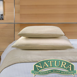 Natura Embrace Memory Foam and Latex Dual Pillow