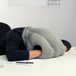 Authentic Ostrich Pillow