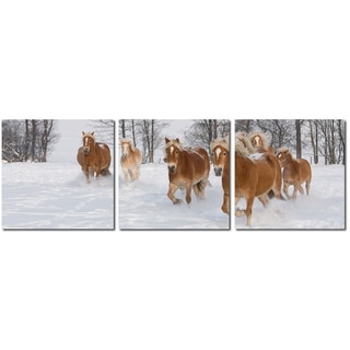 Baxton Studio Horse Herd Mounted Photography Print Triptych