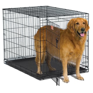 Midwest iCrate Wire Dog Crate with Pan and Divider