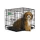 Midwest iCrate Double Door Dog Crate with Divider - Thumbnail 1