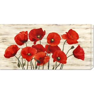 Global Gallery Serena Biffi 'French Poppies' Stretched Canvas