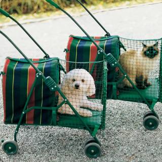 Kittywalk Original Stripe Pet Stroller