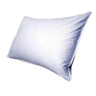 Sealy SmartDown 300 Thread Count Standard-size Pillow