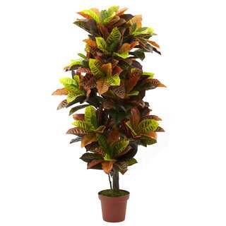 56-inch Croton Plant (Real Touch)