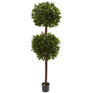 6-foot Sweet Bay Double Ball Topiary