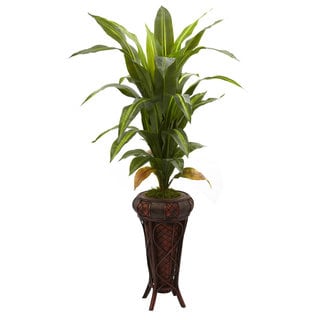 57-Inch Dracaena w/Stand Silk Plant (Real Touch)