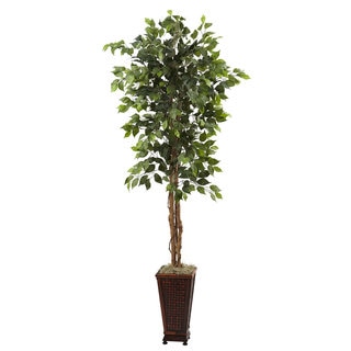 6.5-foot Ficus and Decorative Planter Arrangement