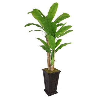Laura Ashley 91-inch Tall Banana Tree and Real Touch Leaves in 16-inch Fiberstone Planter