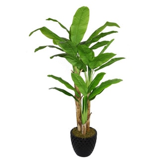 Laura Ashley 78-inch Tall Banana Tree with Real Touch Leaves in 16-inch Fiberstone Planter
