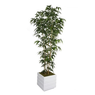 Laura Ashley 78-inch Tall Natural Bamboo Tree in 14-inch Fiberstone Planter
