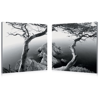 Rocky Shore Mounted Photography Print Diptych