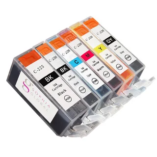 Sophia Global Compatible Ink Cartridge Replacement for Canon PGI-225 CLI-22 (Remanufactured) (6 Pack)